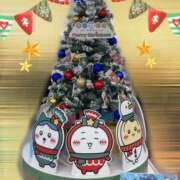 ヒメ日記 2025/12/13 11:34 投稿 宮本 華恋人(カレント)