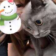 ヒメ日記 2025/12/14 11:42 投稿 宮本 華恋人(カレント)