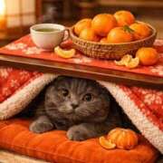 ヒメ日記 2025/12/27 16:09 投稿 宮本 華恋人(カレント)