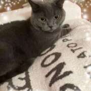 ヒメ日記 2025/12/28 09:13 投稿 宮本 華恋人(カレント)