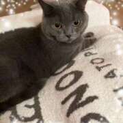 宮本 日曜日おはよう 華恋人(カレント)