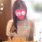 ヒメ日記 2026/01/01 11:06 投稿 宮本 華恋人(カレント)