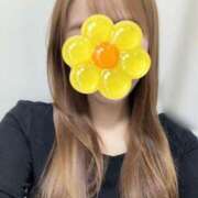 ヒメ日記 2026/01/29 09:23 投稿 宮本 華恋人(カレント)