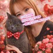 ヒメ日記 2026/02/09 16:02 投稿 宮本 華恋人(カレント)