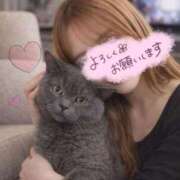 ヒメ日記 2026/02/13 20:39 投稿 宮本 華恋人(カレント)