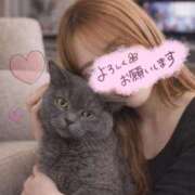 ヒメ日記 2026/02/18 10:52 投稿 宮本 華恋人(カレント)