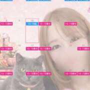 ヒメ日記 2026/03/02 23:34 投稿 宮本 華恋人(カレント)