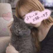 ヒメ日記 2026/03/09 13:01 投稿 宮本 華恋人(カレント)