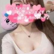 ヒメ日記 2026/03/13 20:21 投稿 宮本 華恋人(カレント)