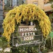 ヒメ日記 2026/03/14 19:09 投稿 宮本 華恋人(カレント)