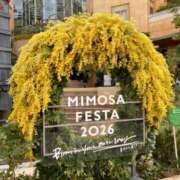 ヒメ日記 2026/03/14 21:27 投稿 宮本 華恋人(カレント)