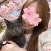 ヒメ日記 2026/03/24 08:20 投稿 宮本 華恋人(カレント)