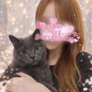 ヒメ日記 2026/03/25 18:29 投稿 宮本 華恋人(カレント)