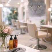 ヒメ日記 2026/04/01 23:20 投稿 宮本 華恋人(カレント)