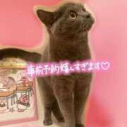 ヒメ日記 2026/04/08 17:30 投稿 宮本 華恋人(カレント)