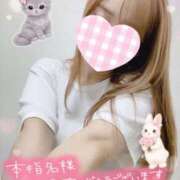 ヒメ日記 2026/04/12 22:04 投稿 宮本 華恋人(カレント)