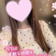 ヒメ日記 2026/04/19 23:10 投稿 宮本 華恋人(カレント)
