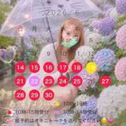 ヒメ日記 2026/06/13 21:28 投稿 宮本 華恋人(カレント)
