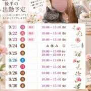 ヒメ日記 2026/09/20 15:00 投稿 宮本 華恋人(カレント)