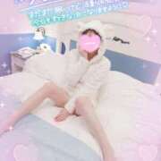 ヒメ日記 2025/02/27 07:38 投稿 新木 品川やすらぎ