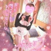 ヒメ日記 2025/03/02 09:33 投稿 新木 品川やすらぎ