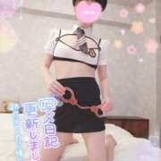 ヒメ日記 2025/03/04 09:36 投稿 新木 品川やすらぎ