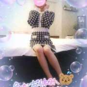 ヒメ日記 2025/03/06 07:40 投稿 新木 品川やすらぎ