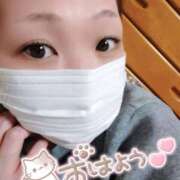 ヒメ日記 2025/03/10 09:42 投稿 新木 品川やすらぎ