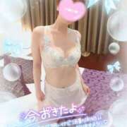 ヒメ日記 2025/03/14 07:27 投稿 新木 品川やすらぎ