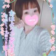 ヒメ日記 2025/03/15 09:26 投稿 新木 品川やすらぎ