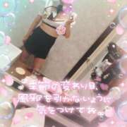 ヒメ日記 2025/03/16 19:42 投稿 新木 品川やすらぎ