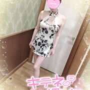 ヒメ日記 2025/03/17 09:41 投稿 新木 品川やすらぎ