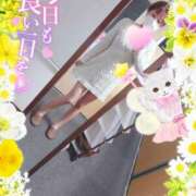 ヒメ日記 2025/03/23 11:56 投稿 新木 品川やすらぎ