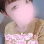 ヒメ日記 2025/04/05 10:54 投稿 新木 品川やすらぎ