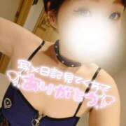 ヒメ日記 2025/04/09 08:11 投稿 新木 品川やすらぎ