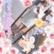 ヒメ日記 2025/04/11 08:03 投稿 新木 品川やすらぎ