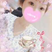 ヒメ日記 2025/04/12 06:39 投稿 新木 品川やすらぎ