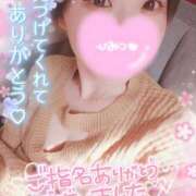 ヒメ日記 2025/04/20 07:27 投稿 新木 品川やすらぎ