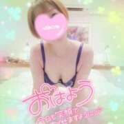 ヒメ日記 2025/04/24 08:08 投稿 新木 品川やすらぎ