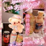 ヒメ日記 2025/05/06 08:14 投稿 新木 品川やすらぎ