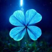 ヒメ日記 2025/05/17 18:39 投稿 新木 品川やすらぎ