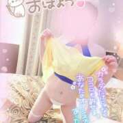 ヒメ日記 2025/05/21 06:23 投稿 新木 品川やすらぎ