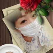 ヒメ日記 2025/05/26 06:12 投稿 新木 品川やすらぎ