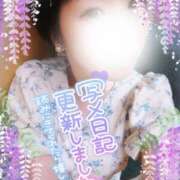 ヒメ日記 2025/06/03 08:54 投稿 新木 品川やすらぎ