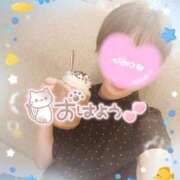 ヒメ日記 2025/07/25 07:10 投稿 新木 品川やすらぎ