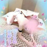 ヒメ日記 2025/09/12 12:00 投稿 新木 品川やすらぎ