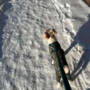 ヒメ日記 2025/01/22 09:54 投稿 明菜（あきな） ビッグバード