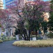 ヒメ日記 2025/02/20 14:04 投稿 明菜（あきな） ビッグバード