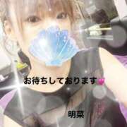 ヒメ日記 2025/03/11 14:04 投稿 明菜（あきな） ビッグバード