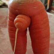 ヒメ日記 2025/03/18 12:10 投稿 明菜（あきな） ビッグバード